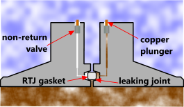 Typical flange leak detection facility