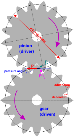 Dimensions of the spur gear model