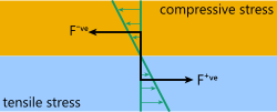 Forces on a of a bimetallic strip