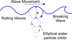 The orbit and profile of an hydrodynamic ocean wave